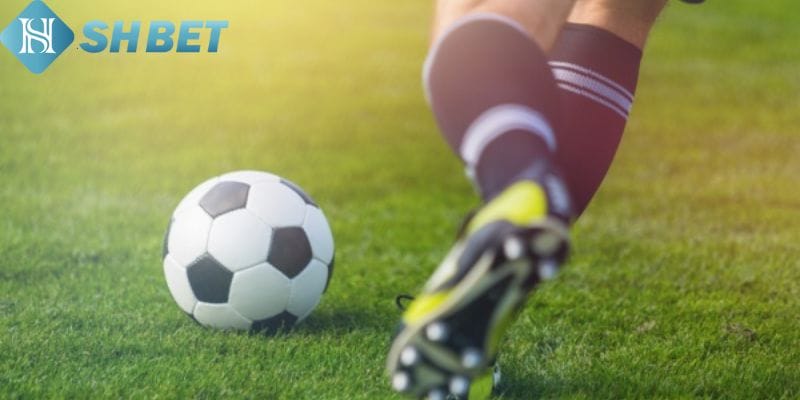 Giới thiệu về kèo cược rung tại Shbet